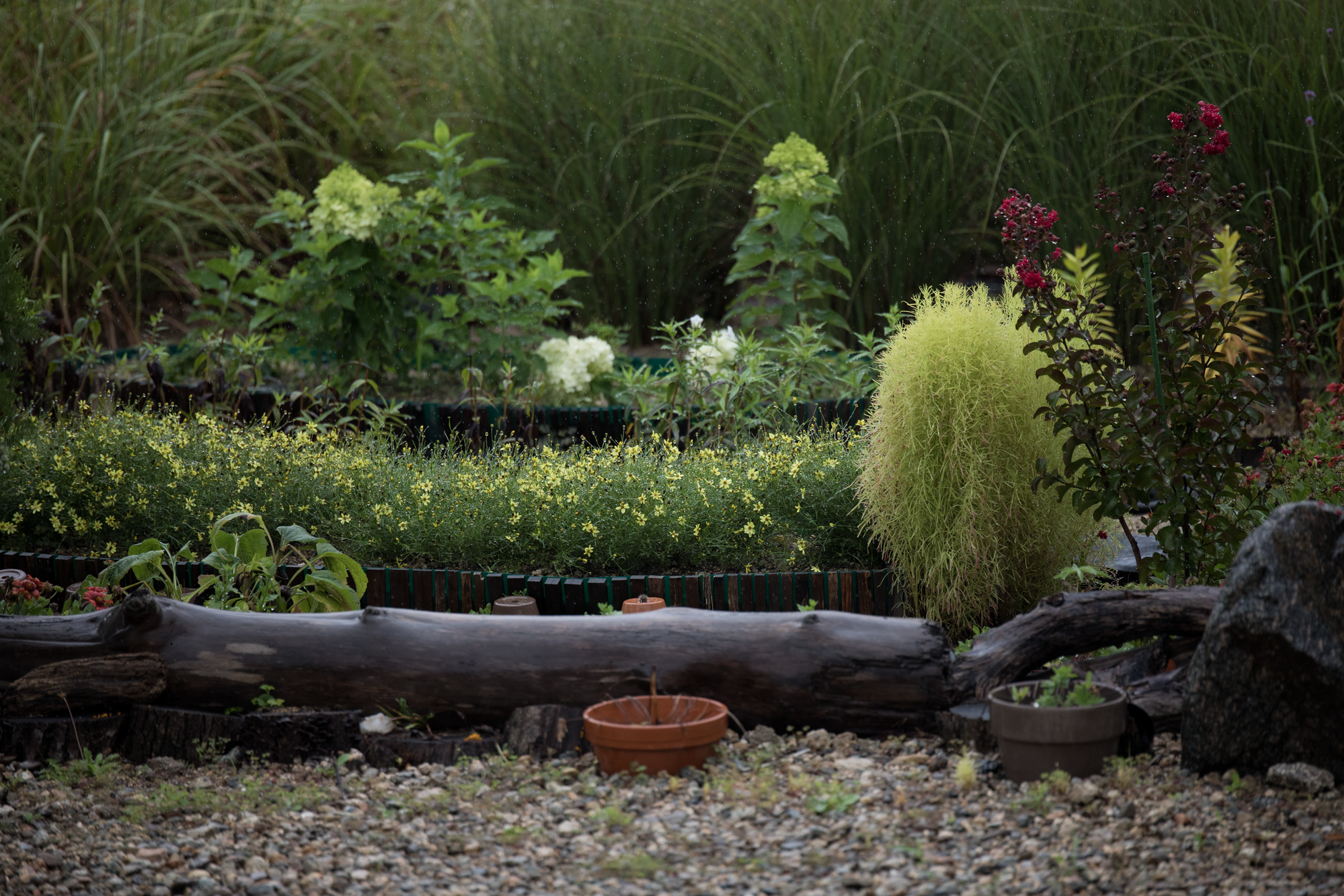 Planting & Beds – Bulverde